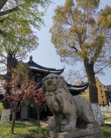 香海禅寺12