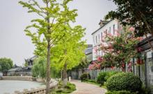 吴江运河文化旅游景区20