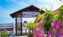 铃兰花海乐园9