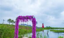铃兰花海乐园20