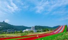 铃兰花海乐园2