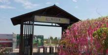 铃兰花海乐园30