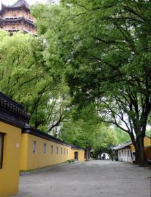 报恩寺1