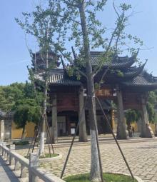 报恩寺4
