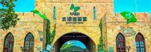 太湖迷笛营1