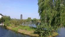 龙形田9