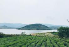 阳羡湖深氧公园10