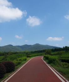 阳羡湖深氧公园19