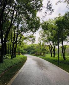 沐春园5