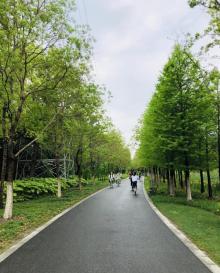 沐春园6