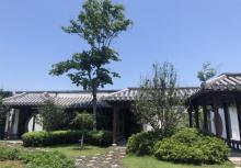 沐春园3