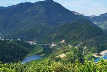 坡山村13