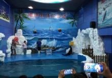 左海海底世界4