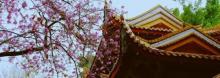 西禅寺9