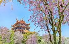 西禅寺1