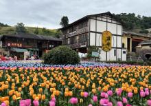 桂峰古村落景区9