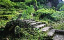 大红袍景区14