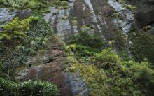 大红袍景区17
