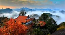 大红袍景区3