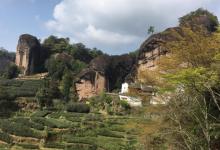 大红袍景区23