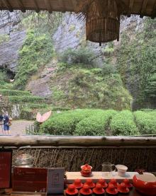 大红袍景区29