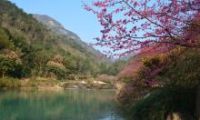 福州国家森林公园16