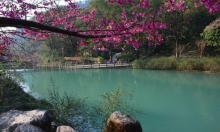 福州国家森林公园17