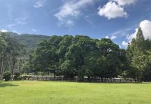 福州国家森林公园7