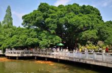 福州国家森林公园22