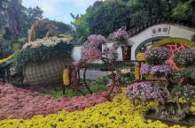 西湖公园8