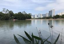 西湖公园22