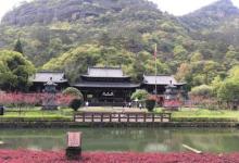 天游峰28