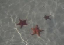 罗源湾海洋世界15