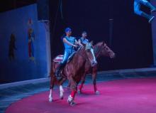 罗源湾海洋世界13