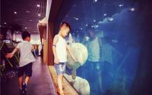 罗源湾海洋世界21