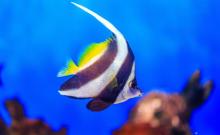 罗源湾海洋世界17