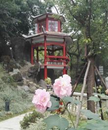 烟台山公园1