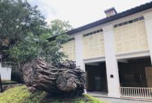 烟台山公园15