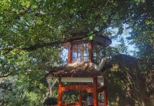 烟台山公园9