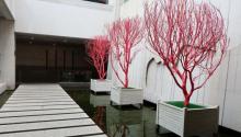 福建博物院22
