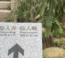 仙人井3