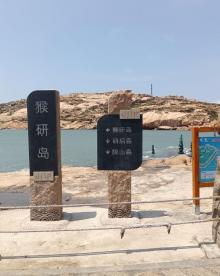 猴研岛7