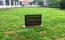 三合潭文化遗址2