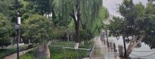 汇昌河公园3