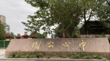 中心公园2