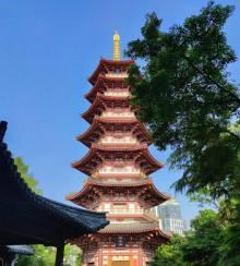 净光塔5
