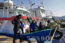 洞头良泰出海捕鱼3