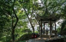 松台山公园5