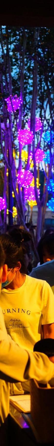 松花开火车乐园7