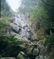 乌岩岭19